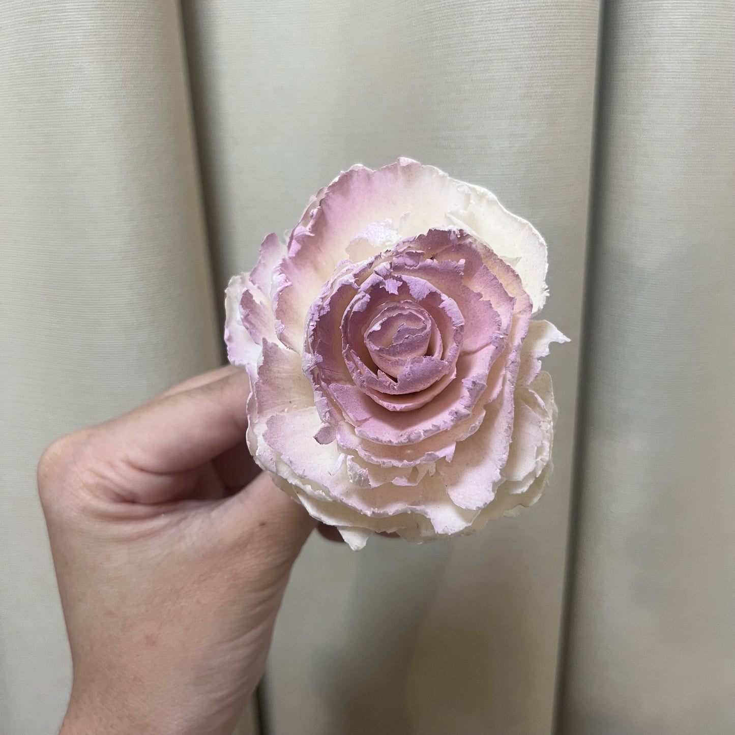 ✿ 台灣現貨 ✿ S-R 索拉花 6CM 通草花 擴香花 波斯 波斯菊 波斯玫瑰