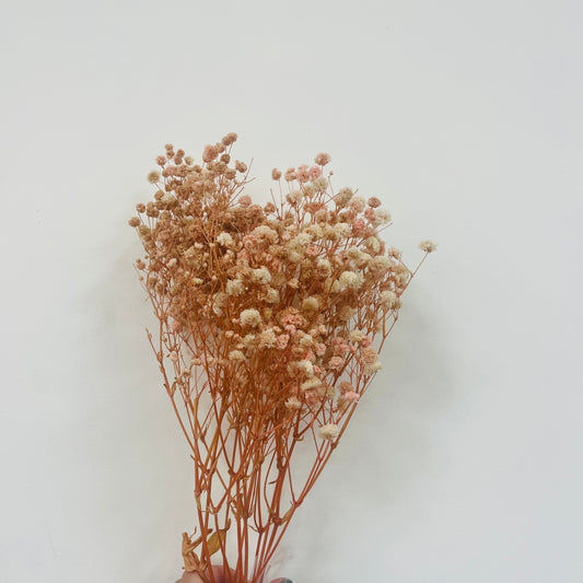 pf001S滿天星 夢幻星 永生花 小份量 捧花胸花 桌花花束 不凋花 手作DIY材料
