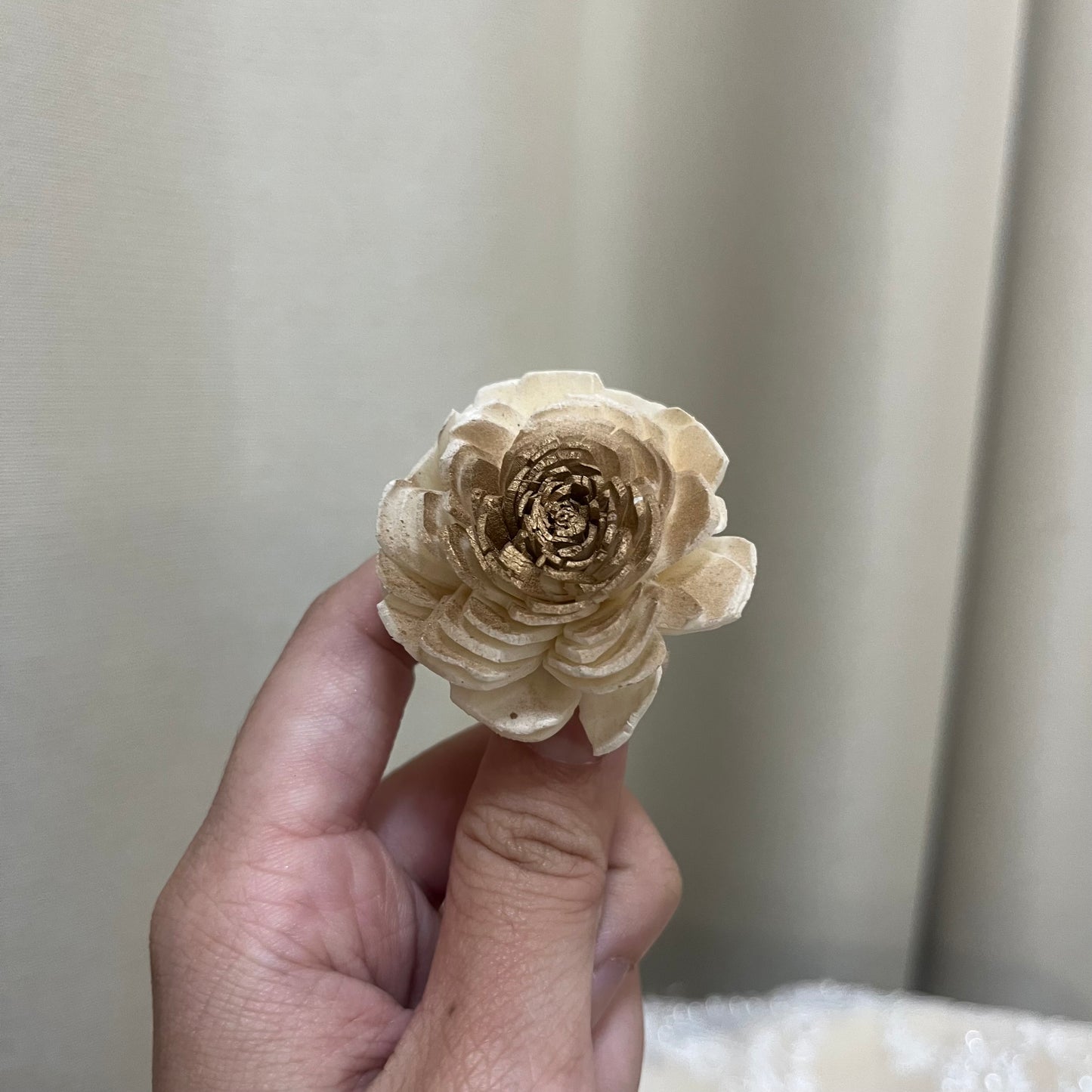 ✿ 台灣現貨 ✿ S-b 索拉花 4CM 通草花 擴香花 太陽玫瑰 日本大地 太陽菊