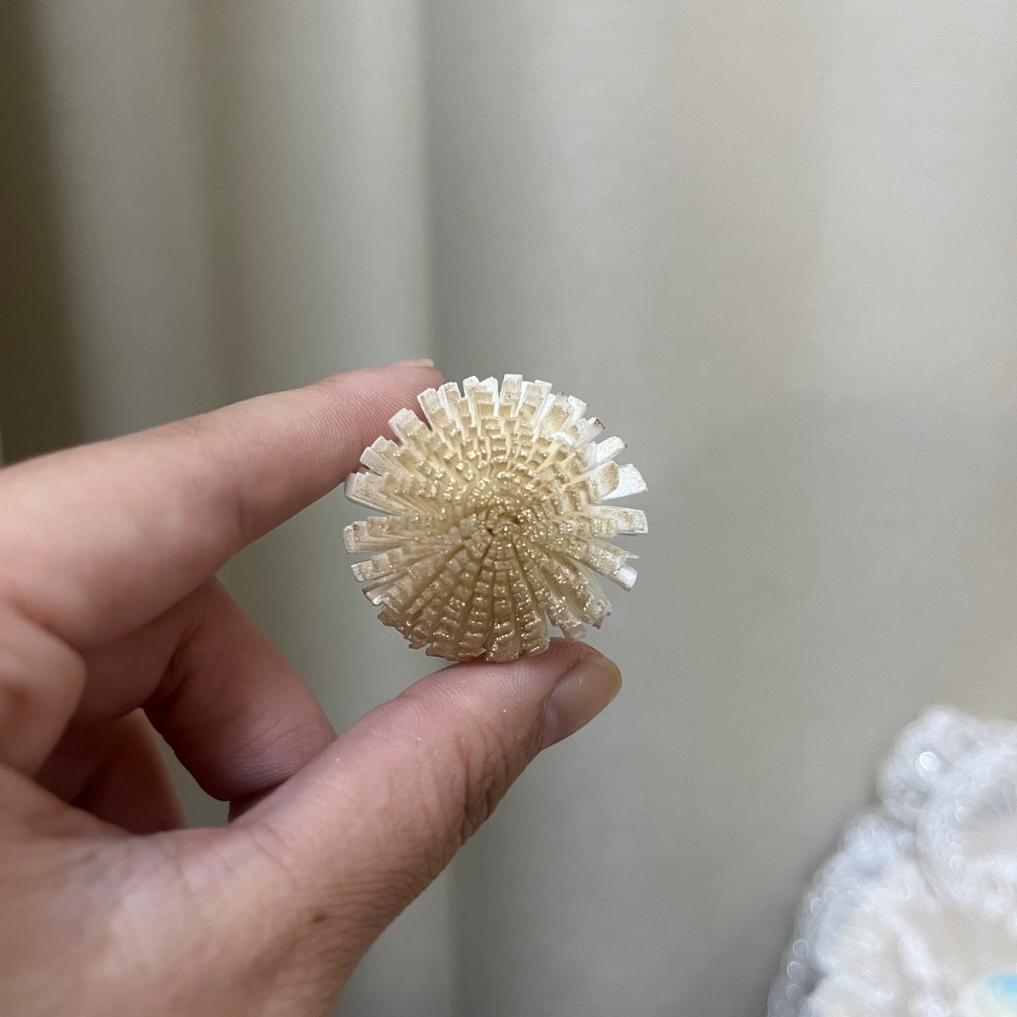 ✿ 台灣現貨 ✿ S-A 索拉花 3CM 通草花 擴香花 3CM 乒乓菊 小菊