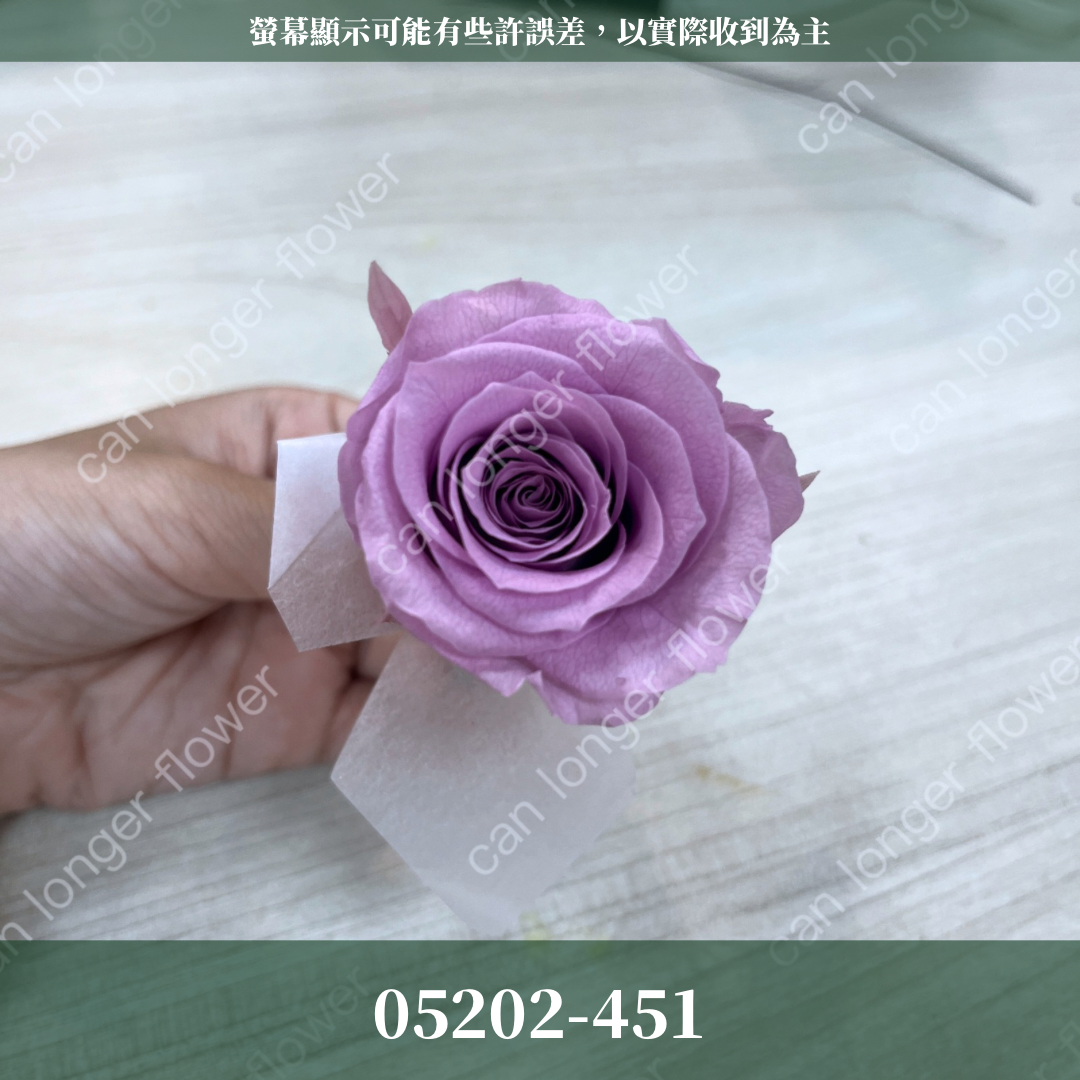 05202 大玫瑰