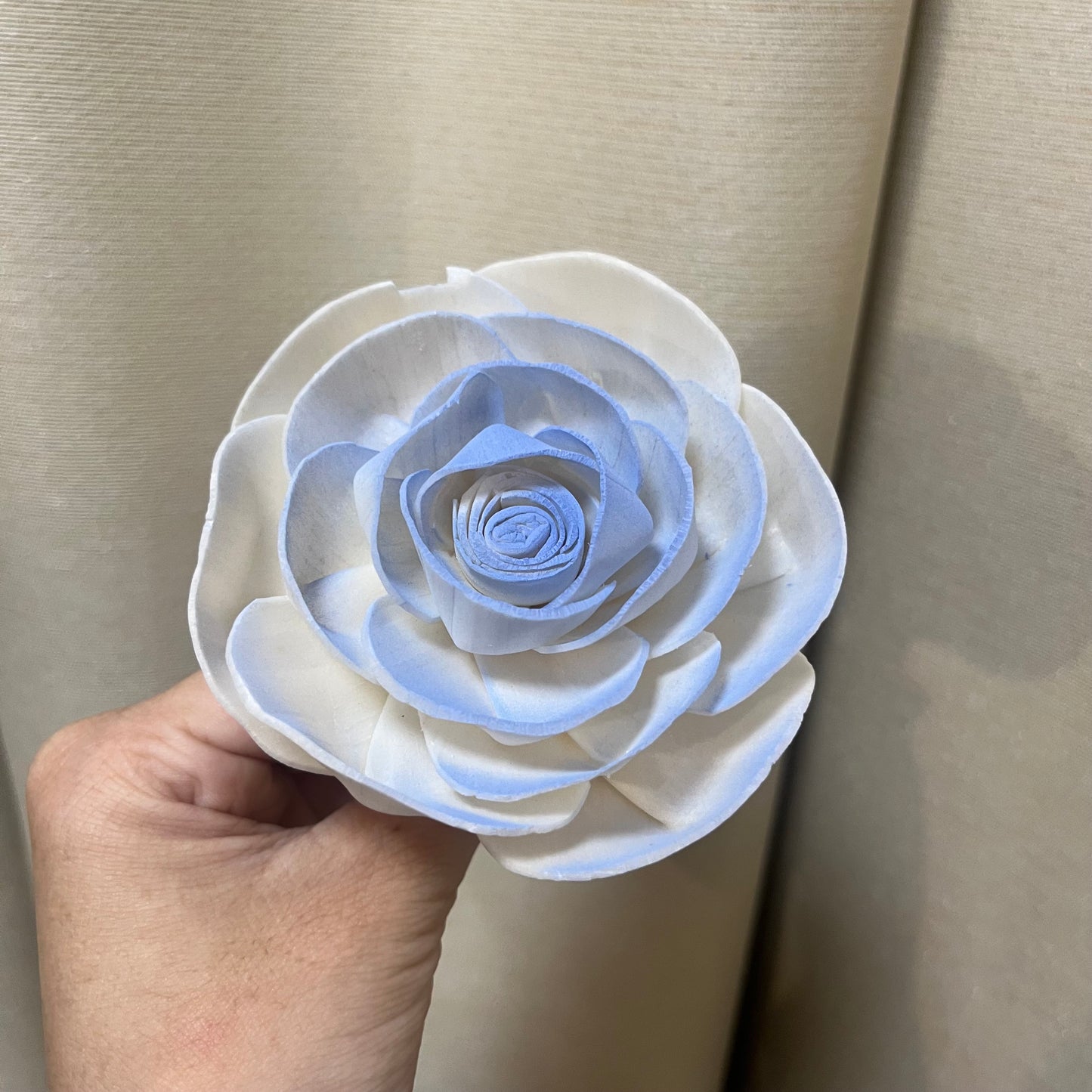 ✿ 台灣現貨 ✿ S-M索拉花 8CM 通草花 擴香花 天使玫瑰 玫瑰 薔薇