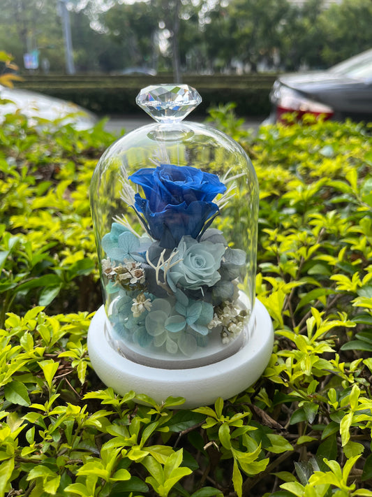 gift-g011永生花小罩盅s