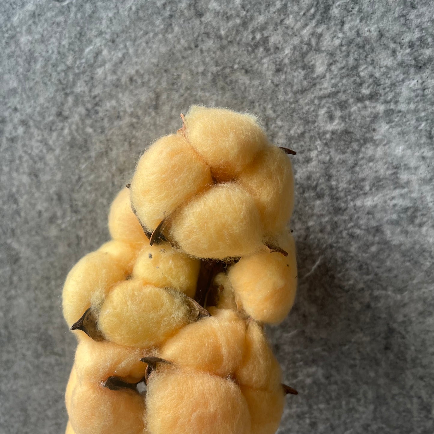 ✿ 台灣現貨 ✿ SH00棉花 原裝 十支裝 手工花