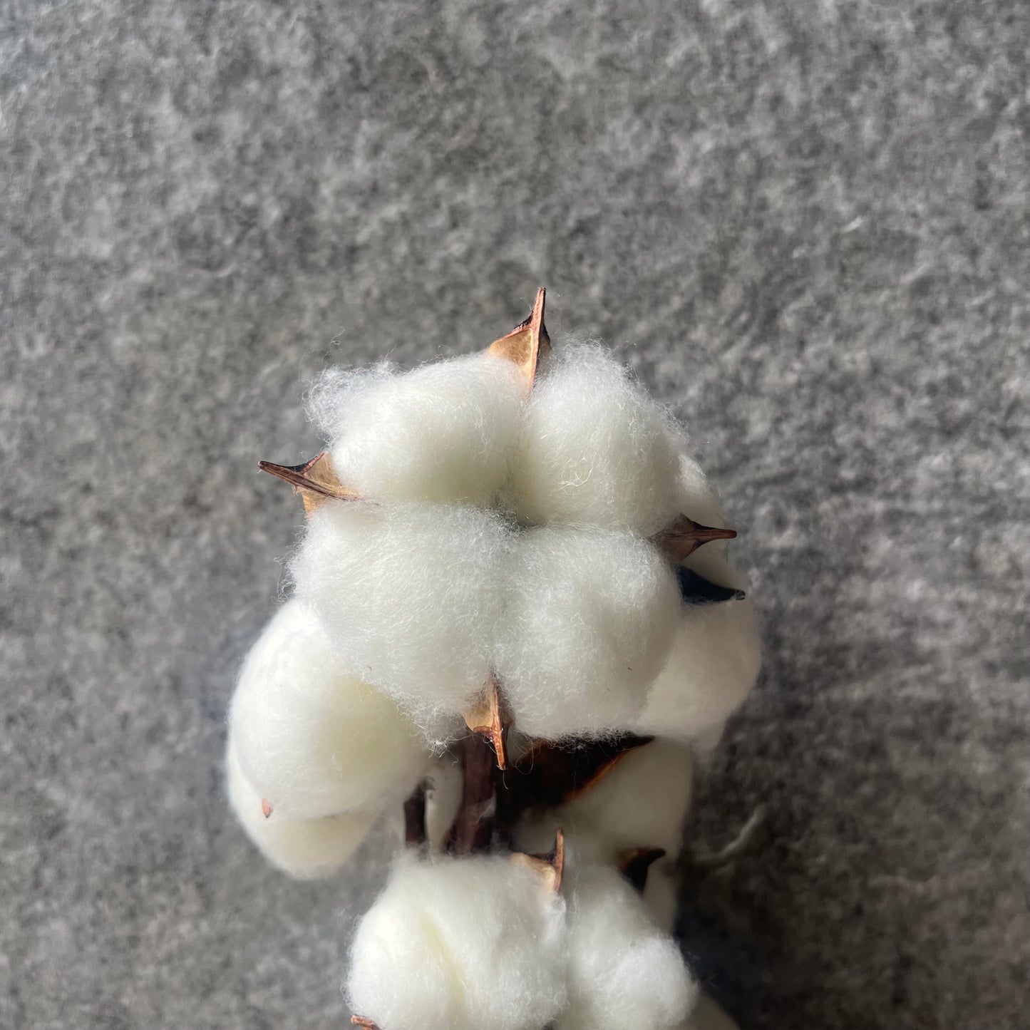 ✿ 台灣現貨 ✿ SH00棉花 原裝 十支裝 手工花