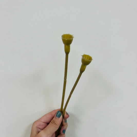 EM046 花莖