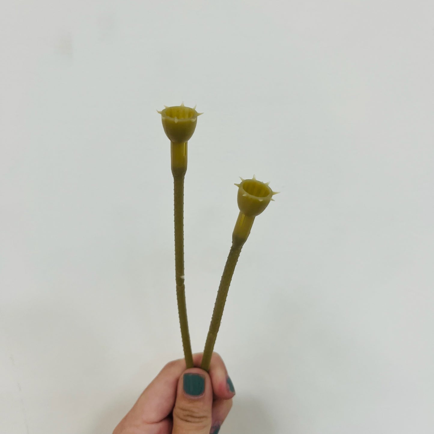 EM046 花莖
