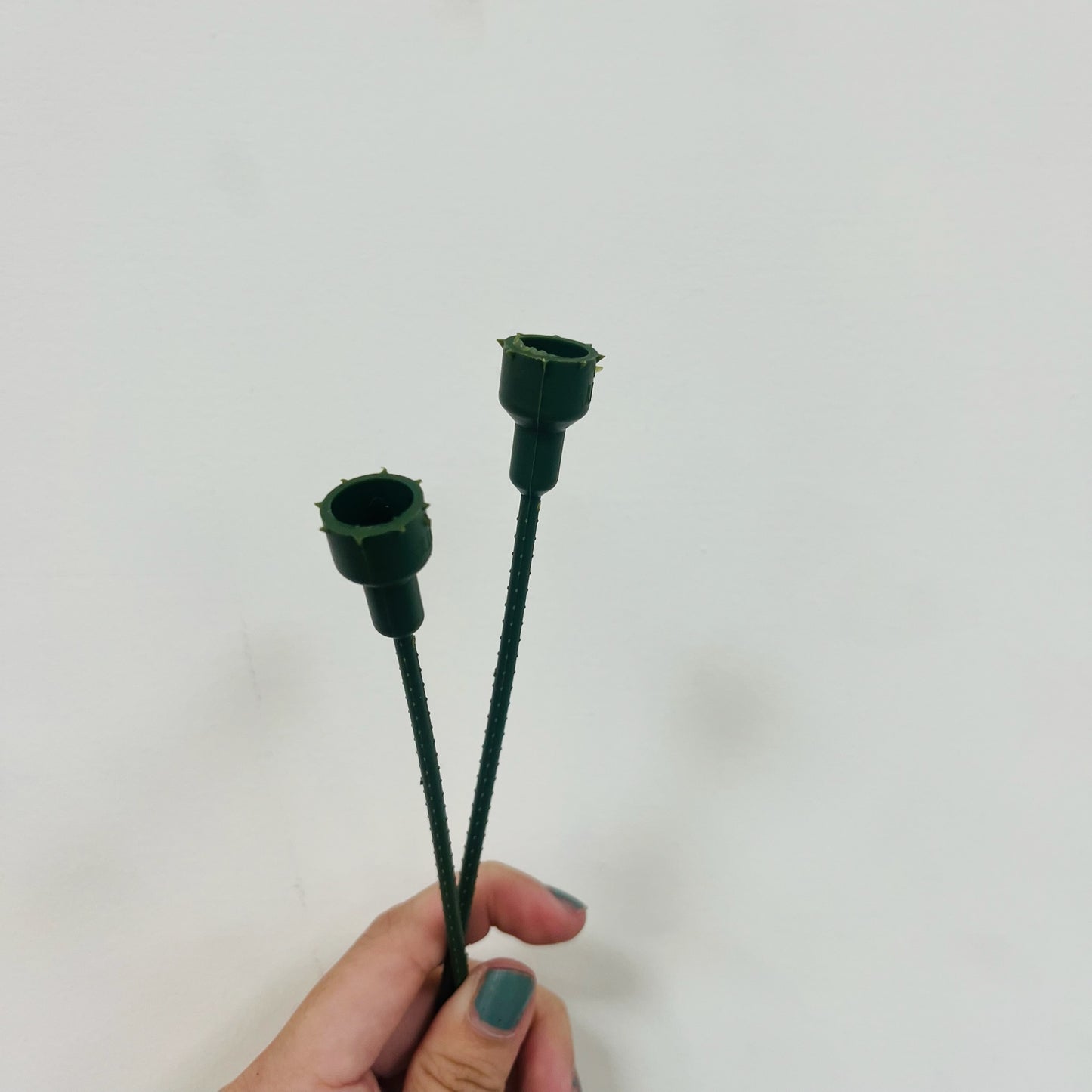 EM046 花莖