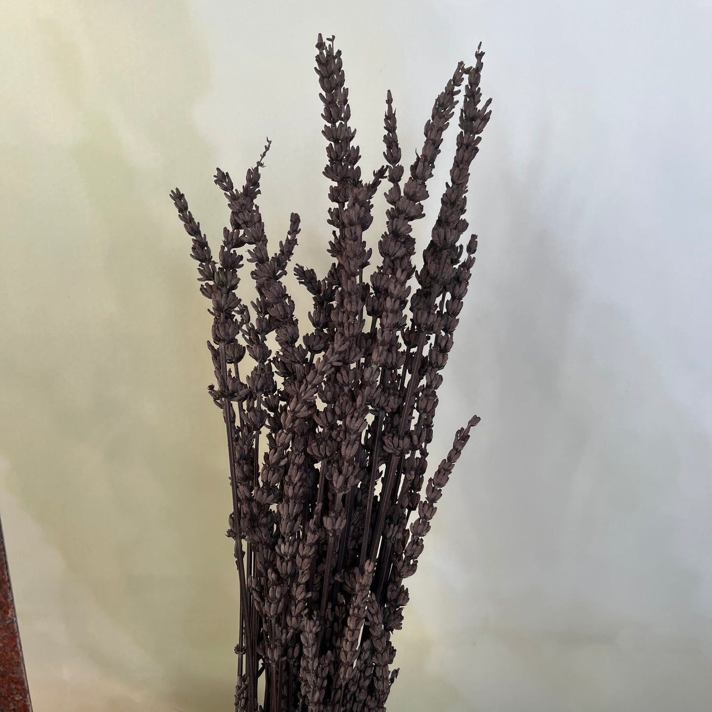 ✿ 台灣現貨 ✿ PA056 薰衣草