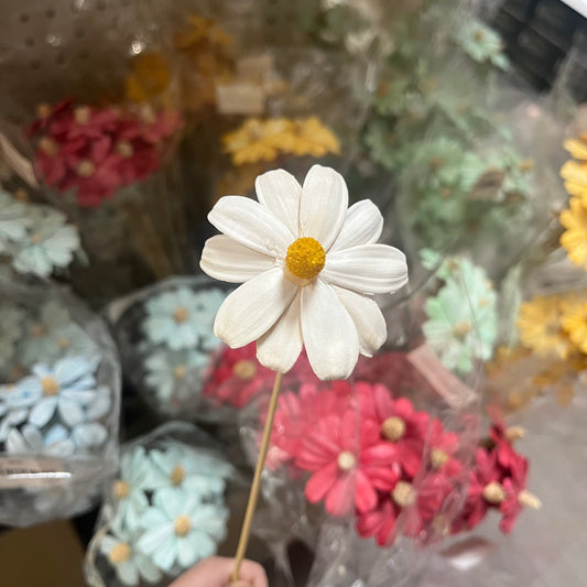 ✿ 台灣現貨 ✿ SH54 小雛菊 單朵 小份量
