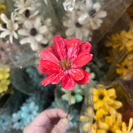 ✿ 台灣現貨 ✿ SH52 瓜子花 單朵 小份量