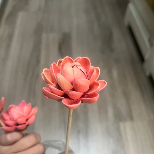 ✿ 台灣現貨 ✿ SH55木蓮花 單朵 小份量