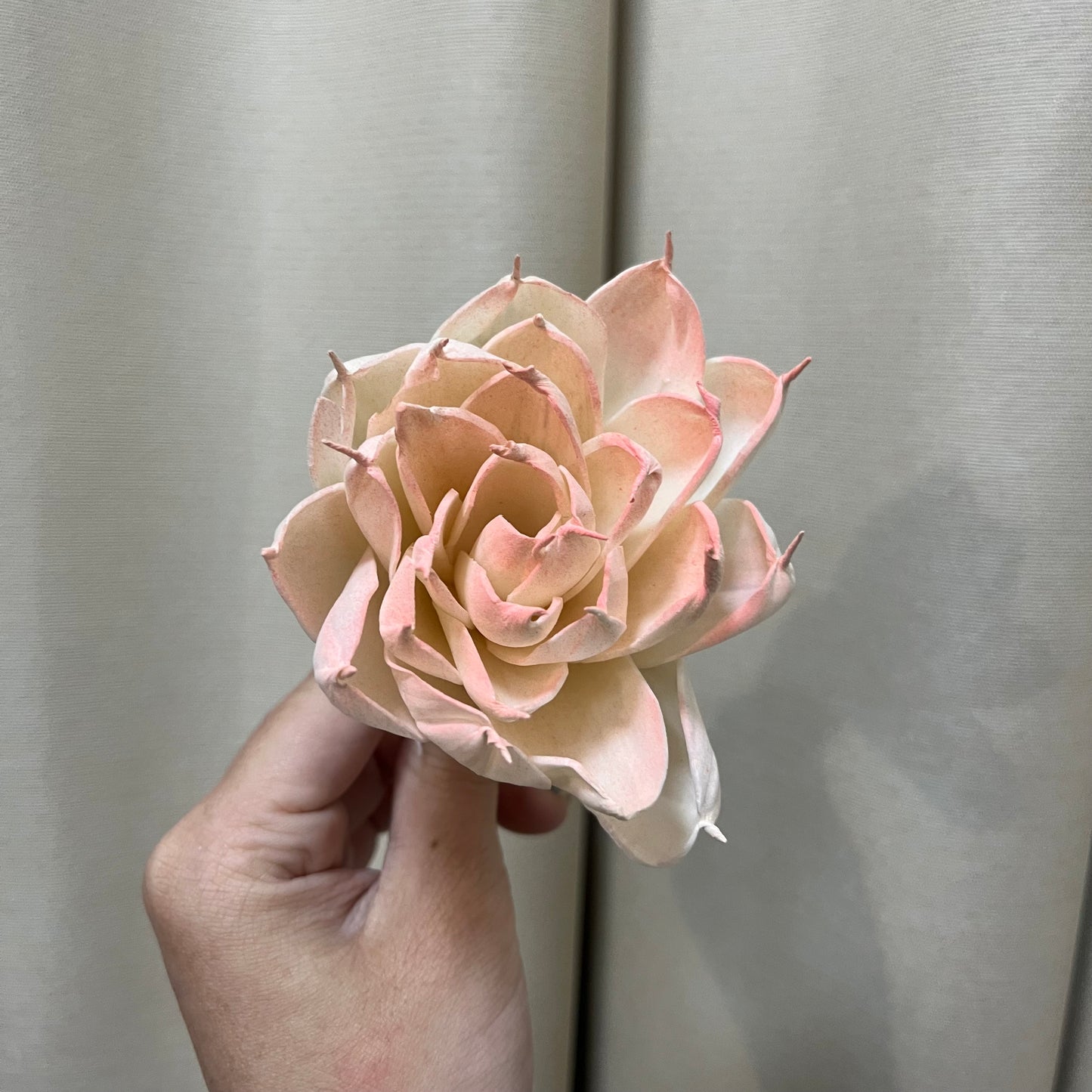 ✿ 台灣現貨 ✿ S-Q 索拉花 8CM 通草花 擴香花 白睡蓮 香水蓮