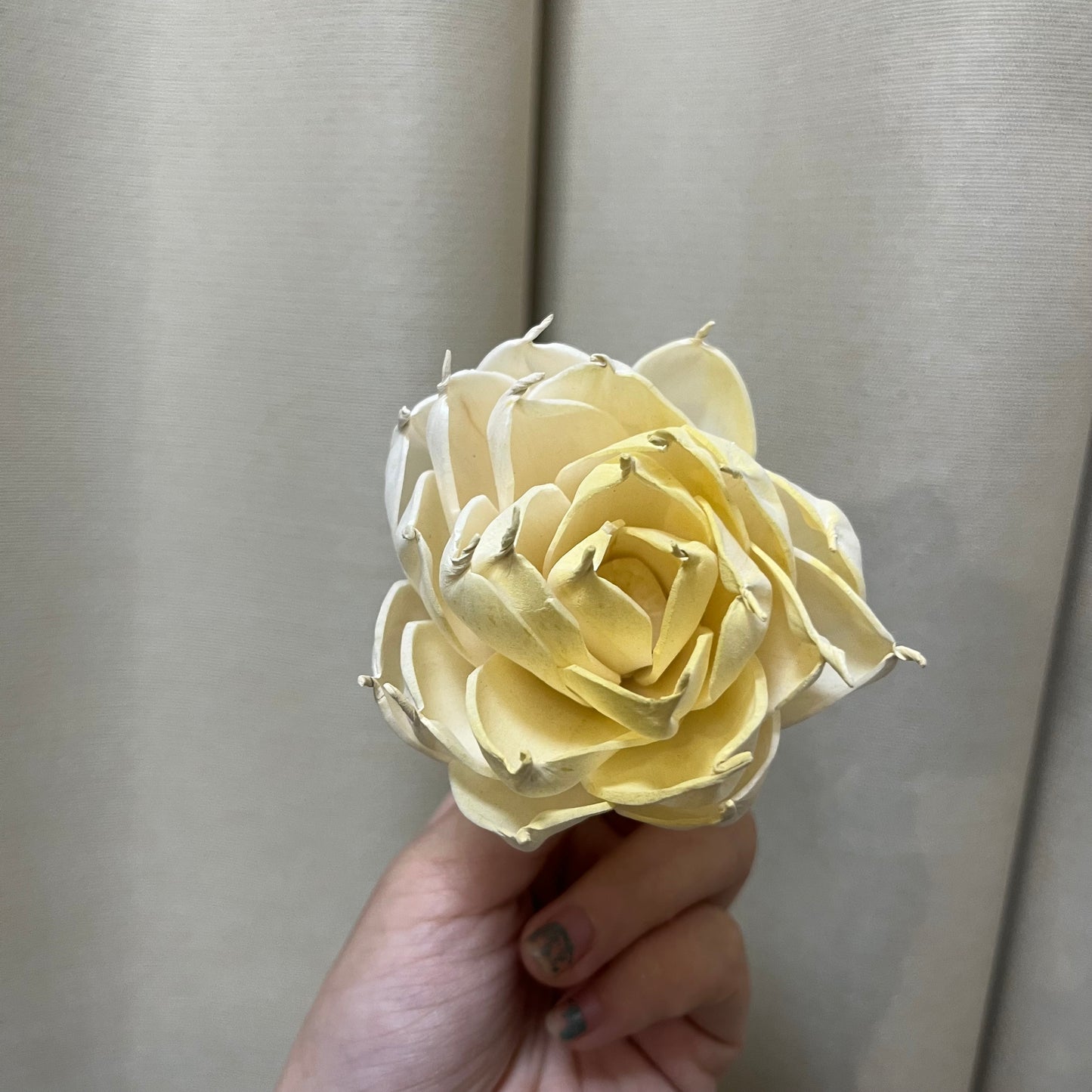 ✿ 台灣現貨 ✿ S-Q 索拉花 8CM 通草花 擴香花 白睡蓮 香水蓮