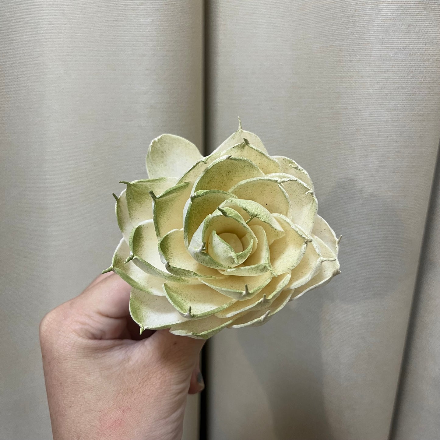 ✿ 台灣現貨 ✿ S-Q 索拉花 8CM 通草花 擴香花 白睡蓮 香水蓮