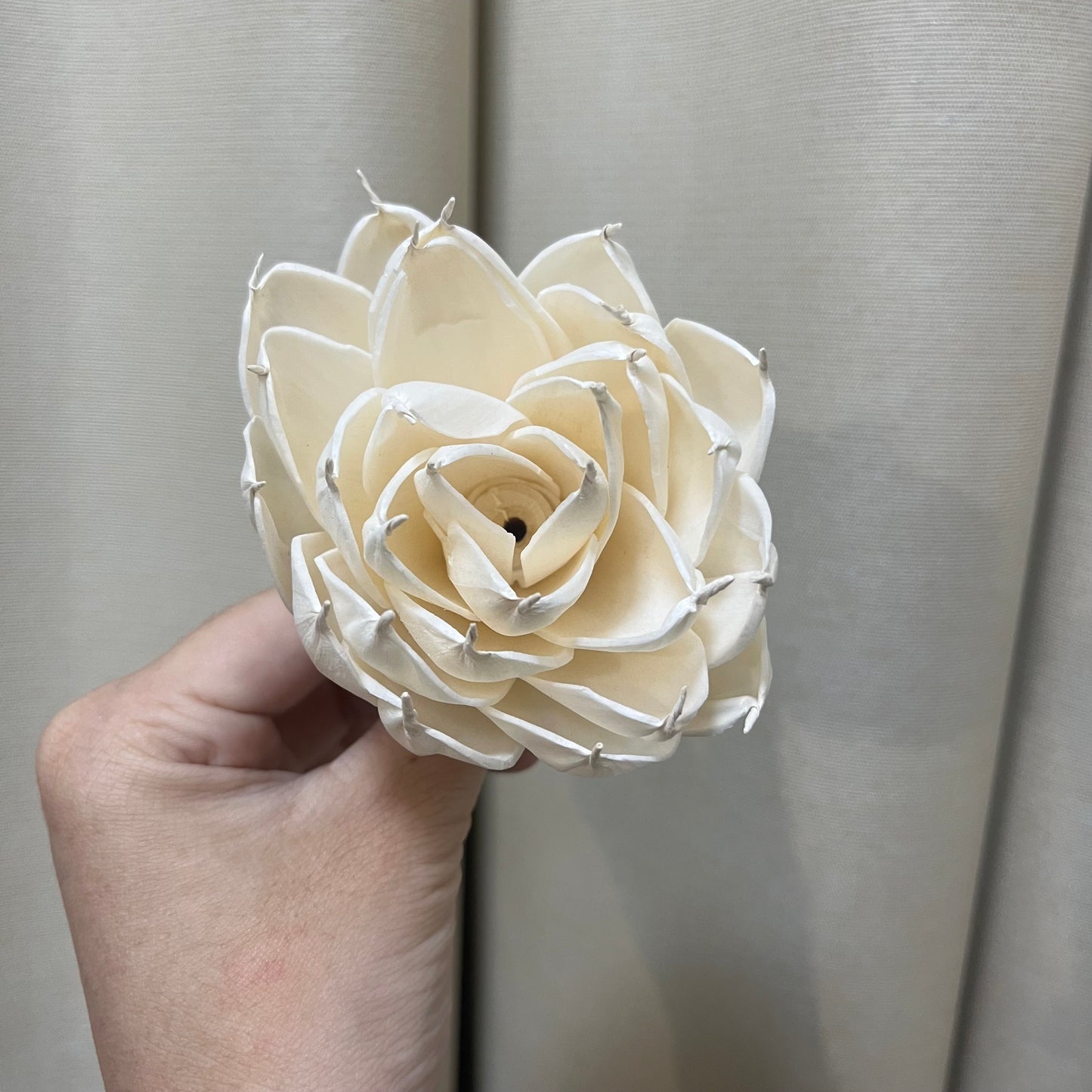 ✿ 台灣現貨 ✿ S-Q 索拉花 8CM 通草花 擴香花 白睡蓮 香水蓮