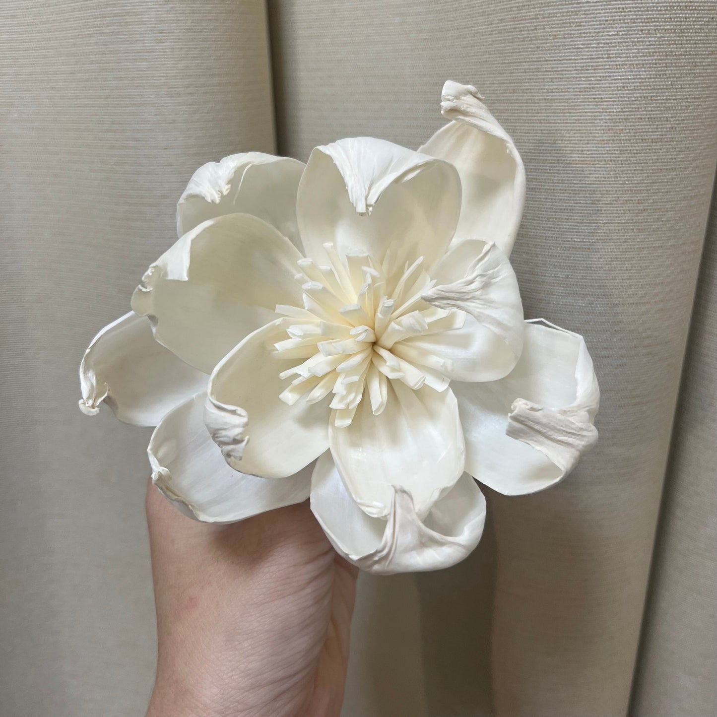 ✿ 台灣現貨 ✿ S-L索拉花 12CM 通草花 擴香花 牡丹 大牡丹