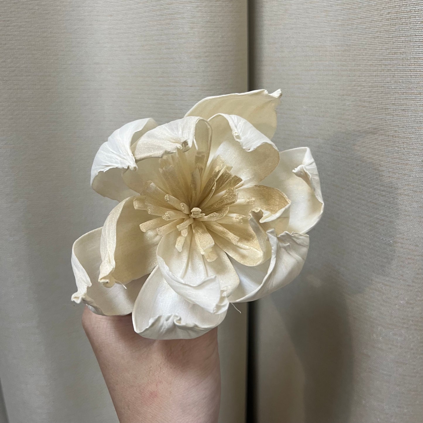 ✿ 台灣現貨 ✿ S-L索拉花 12CM 通草花 擴香花 牡丹 大牡丹