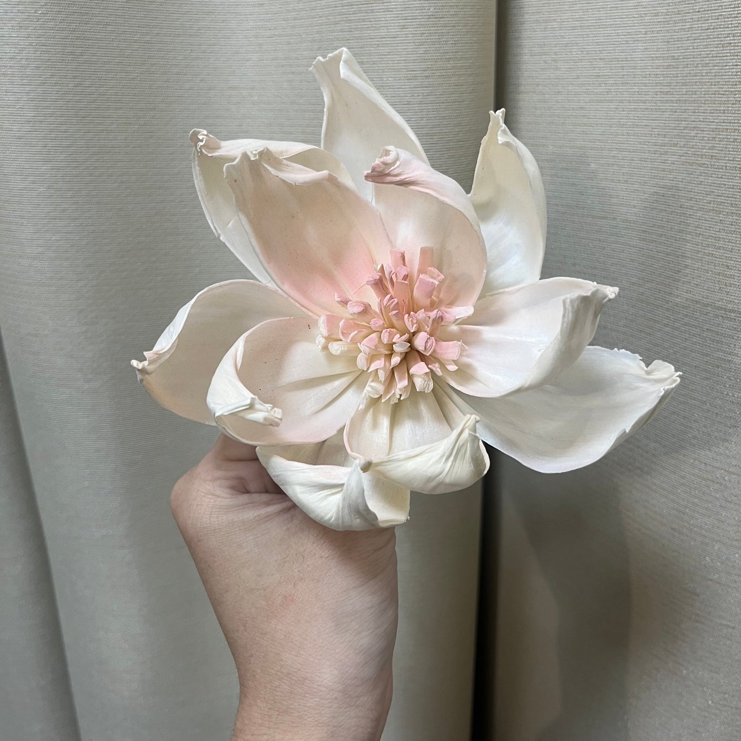 ✿ 台灣現貨 ✿ S-L索拉花 12CM 通草花 擴香花 牡丹 大牡丹