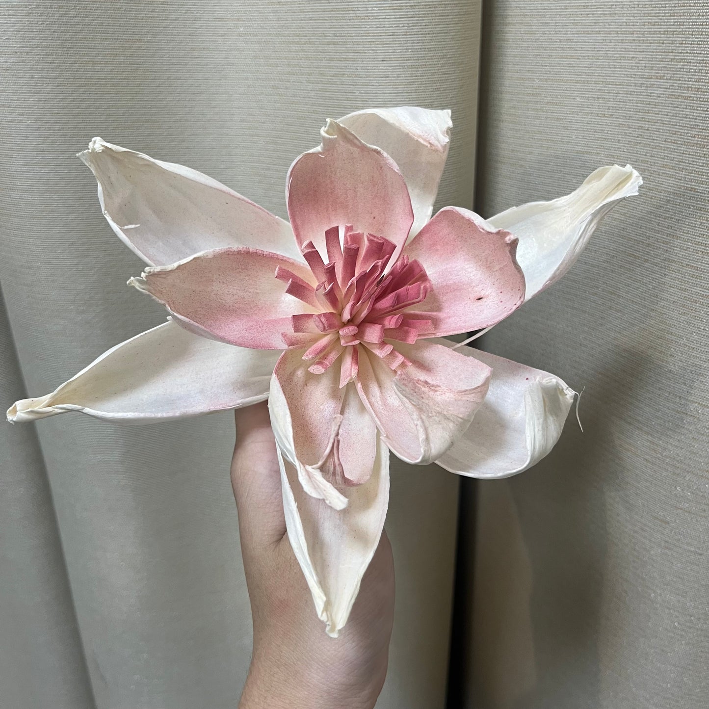 ✿ 台灣現貨 ✿ S-L索拉花 12CM 通草花 擴香花 牡丹 大牡丹