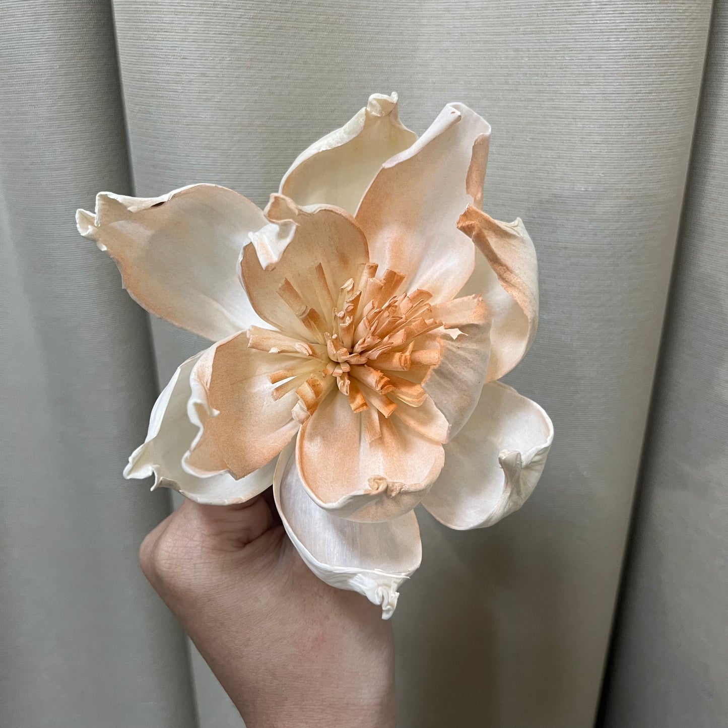 ✿ 台灣現貨 ✿ S-L索拉花 12CM 通草花 擴香花 牡丹 大牡丹