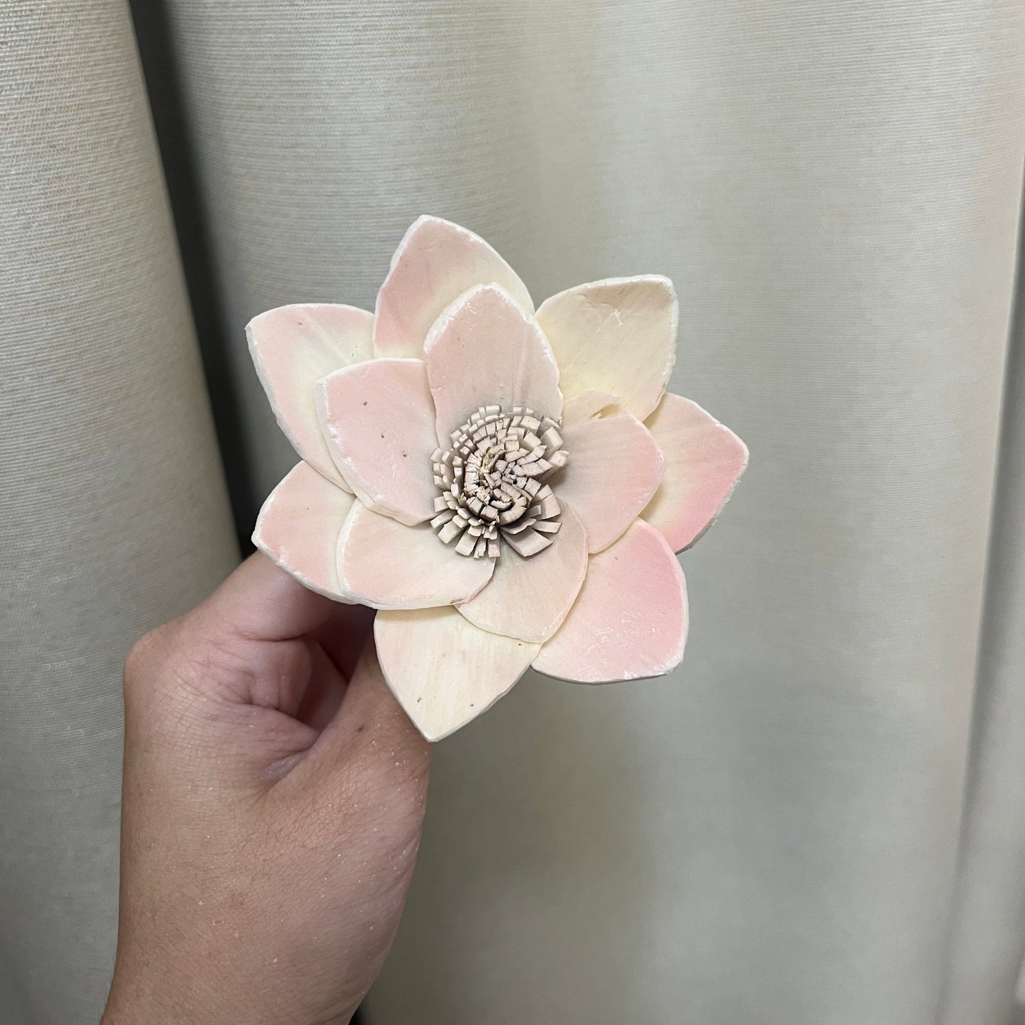 ✿ 台灣現貨 ✿ S-P索拉花 8CM 通草花 擴香花 白睡蓮 蓮花