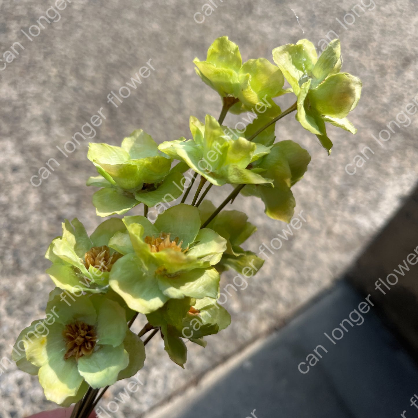 ✿ 台灣現貨 ✿ SH56 銀連花 原裝 10支裝 手工花