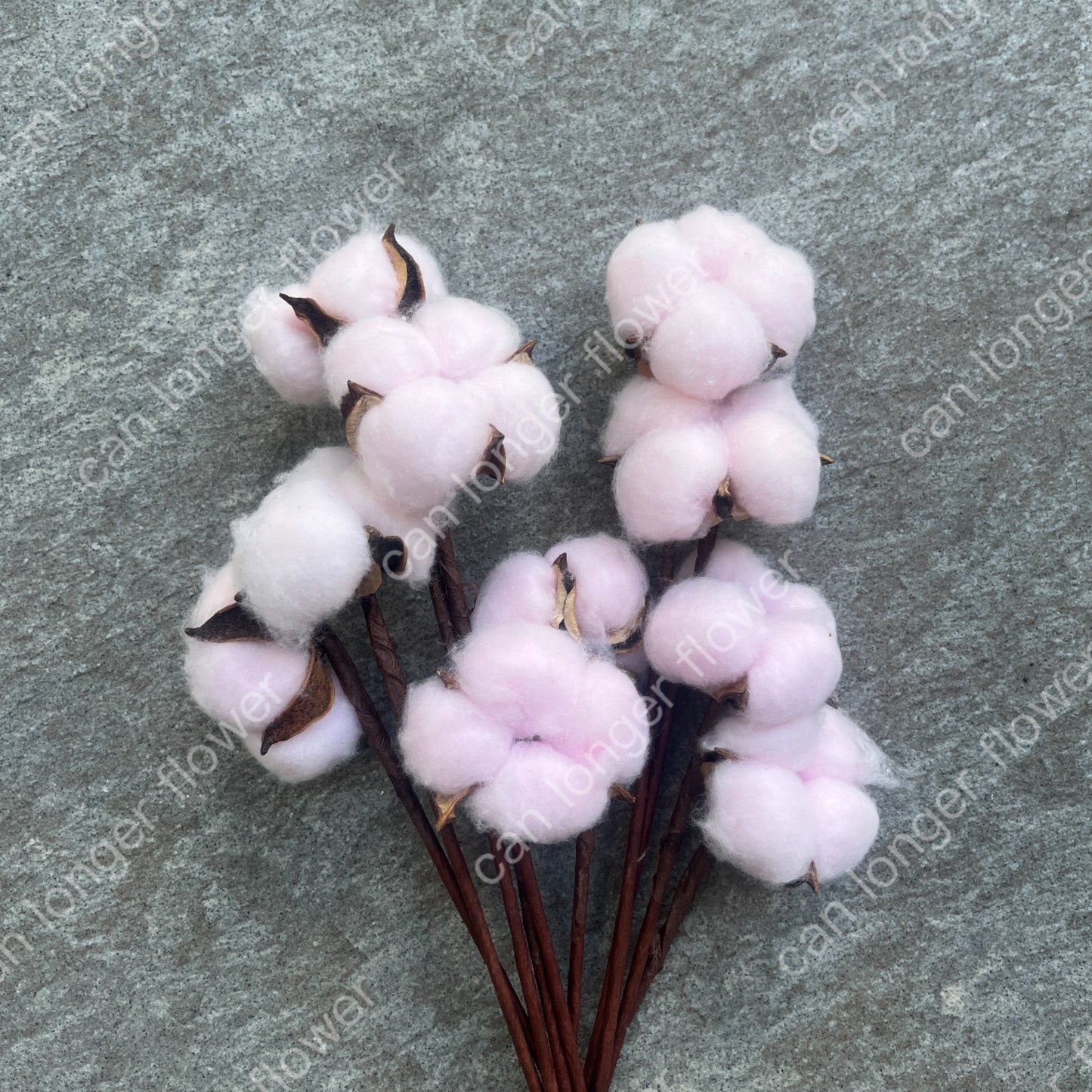 ✿ 台灣現貨 ✿ SH00棉花 小份量 單朵 手工花
