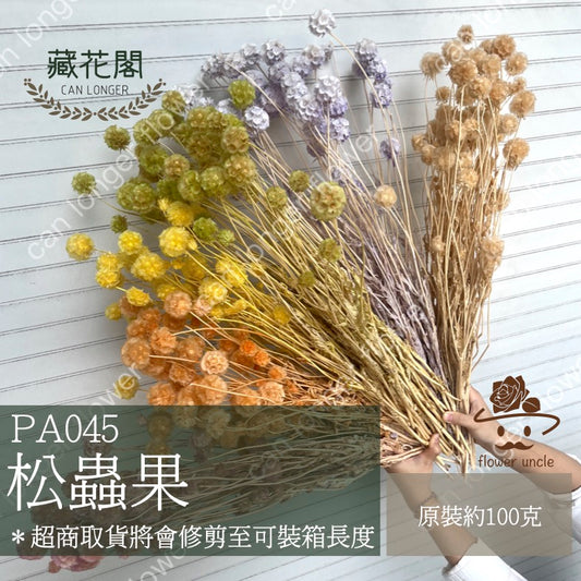 ✿ 台灣現貨 ✿ PA045 松蟲果
