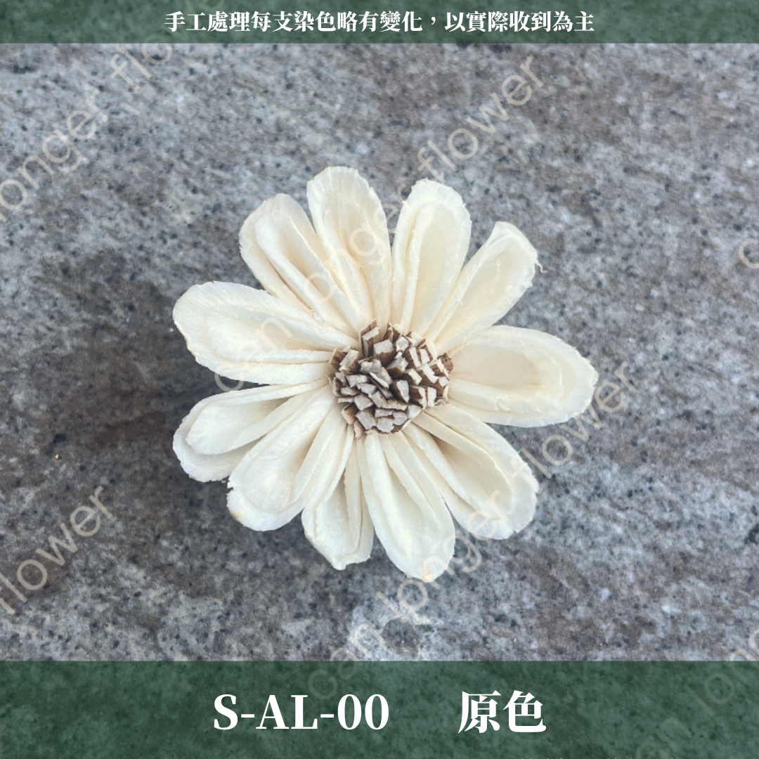 ✿ 台灣現貨 ✿ S-AL 索拉花 4CM 通草花 擴香花 太陽菊 非洲太陽