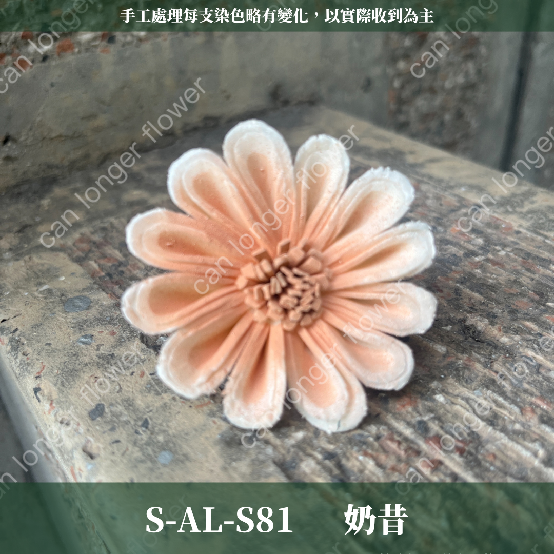 ✿ 台灣現貨 ✿ S-AL 索拉花 4CM 通草花 擴香花 太陽菊 非洲太陽