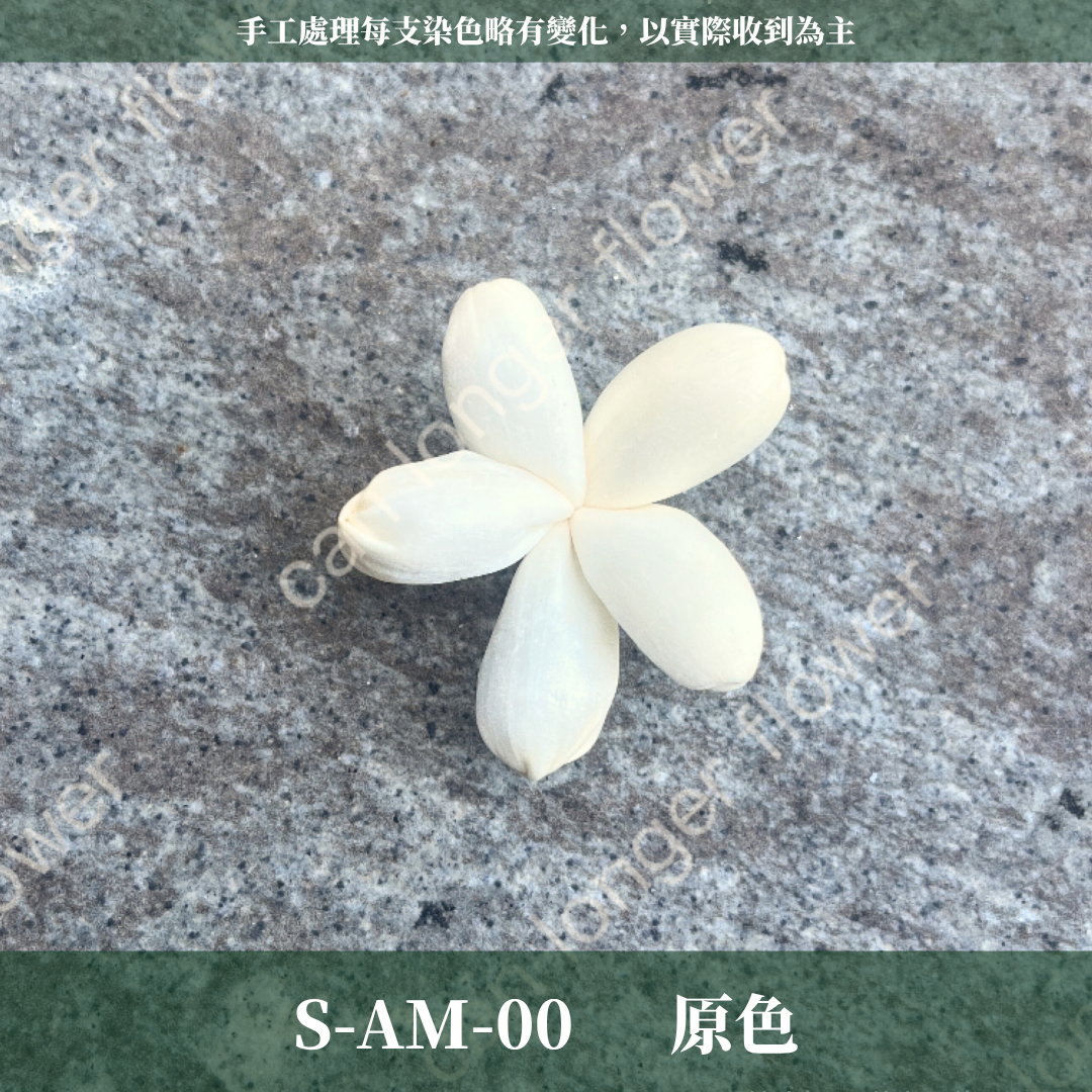 ✿ 台灣現貨 ✿ S-AM 索拉花 4CM 通草花 擴香花 小雛菊