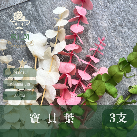 PL001s DL001s 寶貝尤加利小包裝 圓葉尤加利 台灣現貨 3支 約20克