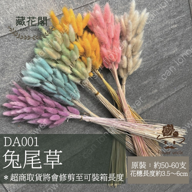 ✿ 台灣現貨 ✿ DA001 兔尾草 原裝約50-60支