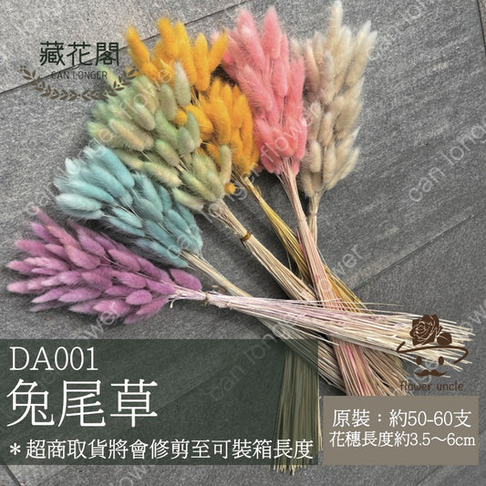 ✿ 台灣現貨 ✿ DA001 兔尾草 原裝約50-60支