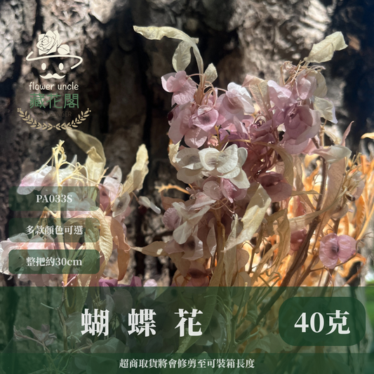 ✿ 台灣現貨 ✿ PA033S 蝴蝶花 小包