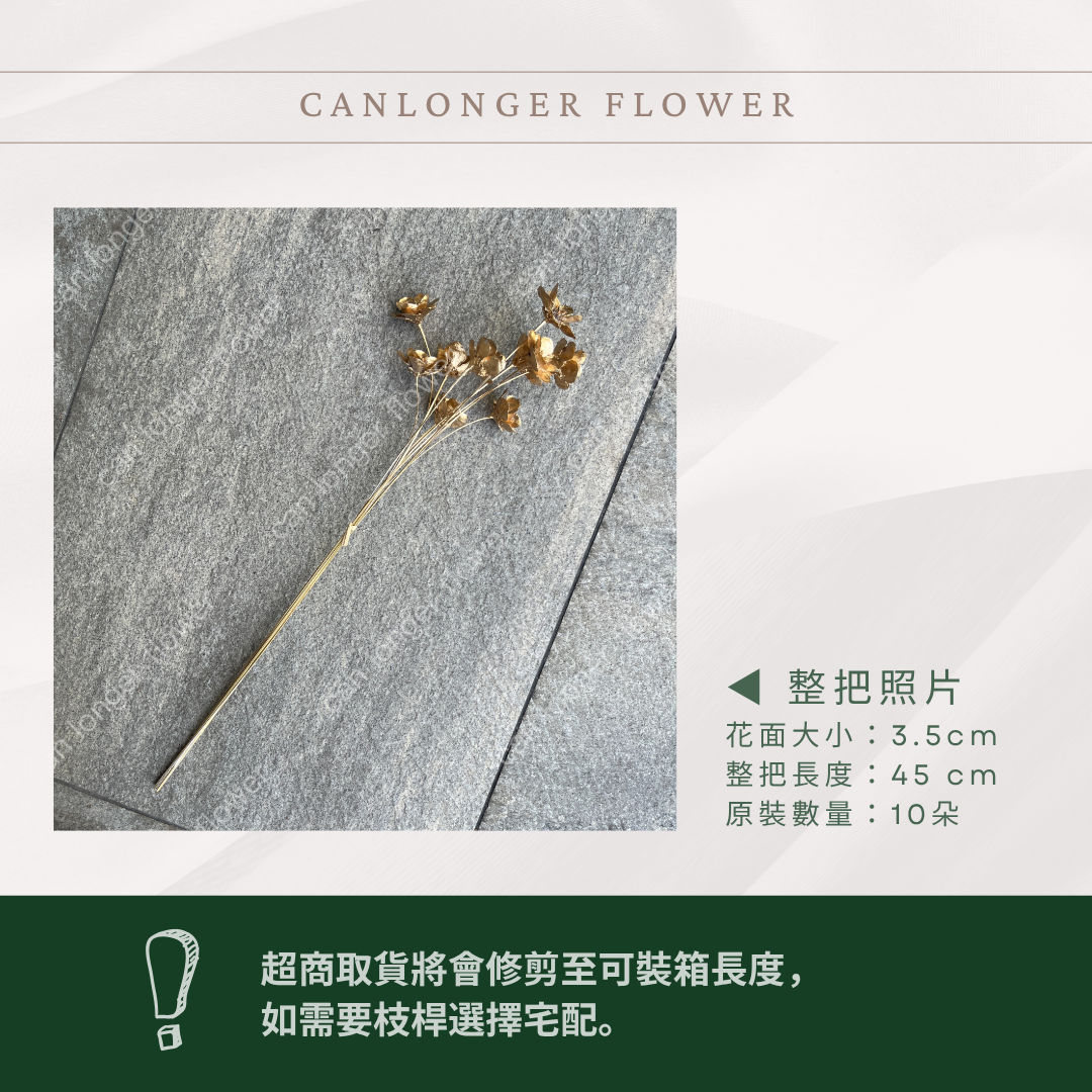 ✿ 台灣現貨 ✿ SH56 銀連花 原裝 10支裝 手工花