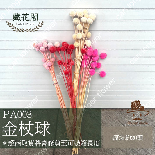 ✿ 台灣現貨 ✿ PA003 金杖球