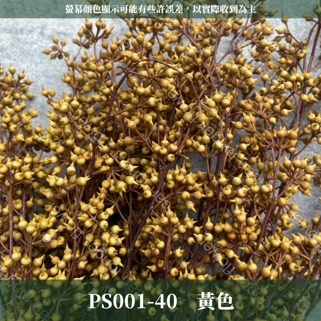 PS001 DS001 小米果 小米尤加利 約150克/包 尤加利果 桉樹果 台灣現貨