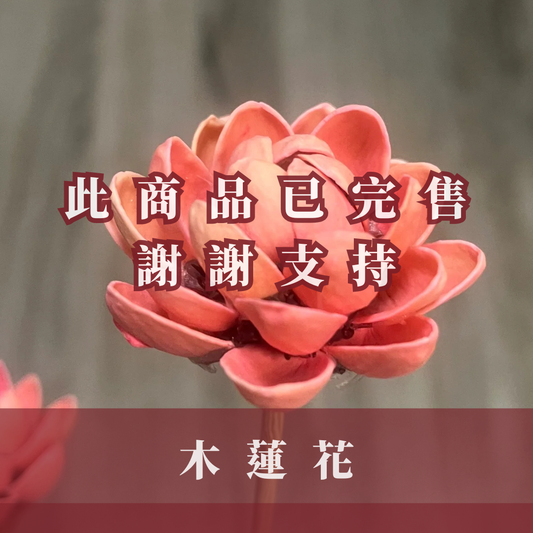 SH55 木蓮花 原裝 10支裝 台灣現貨