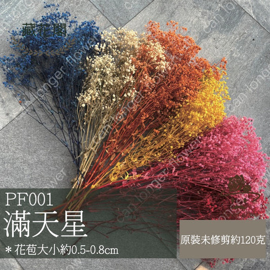 ✿ 台灣現貨 ✿ pf001 滿天星