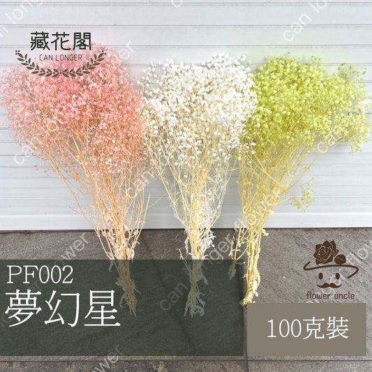 ✿ 台灣現貨 ✿ PF002 夢幻星