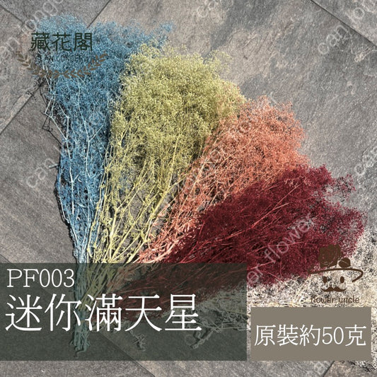 ✿ 台灣現貨 ✿ Pf003 迷你滿天星