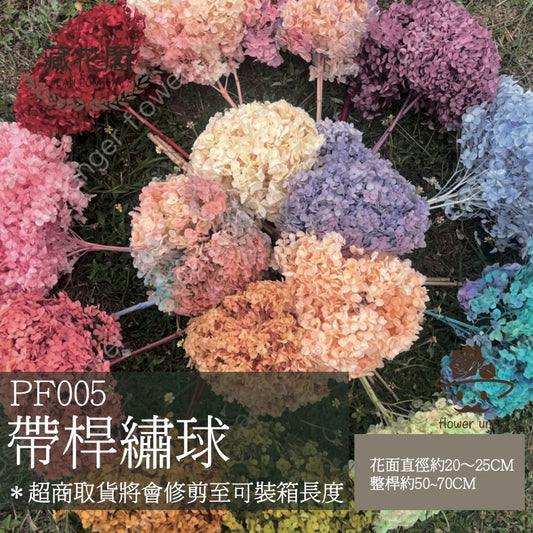 ✿ 台灣現貨 ✿ PF005 安娜繡球 單支 繡球花 繡球 紫陽花