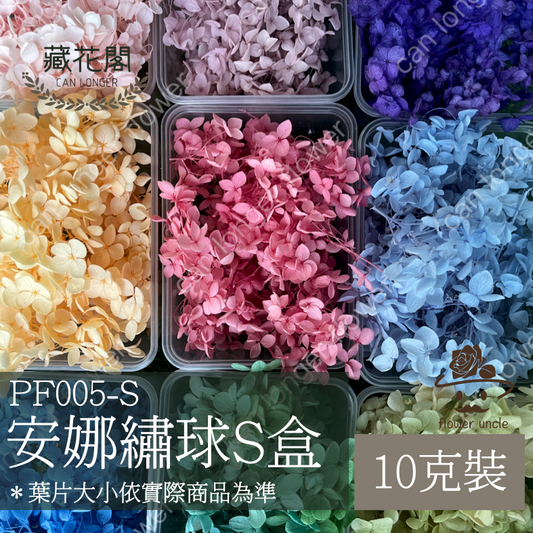 ✿ 台灣現貨 ✿ PF005-S 安娜繡球(約10克）盒裝 繡球 紫陽花