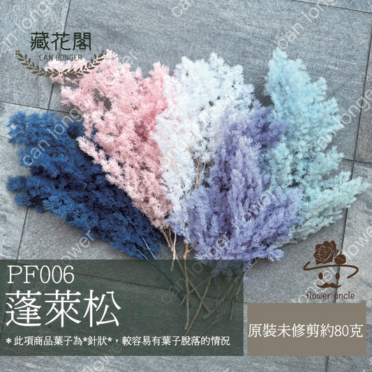✿ 台灣現貨 ✿ PF006 蓬萊松
