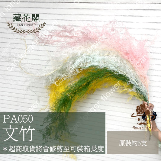 ✿ 台灣現貨 ✿ PA050 文竹 原裝