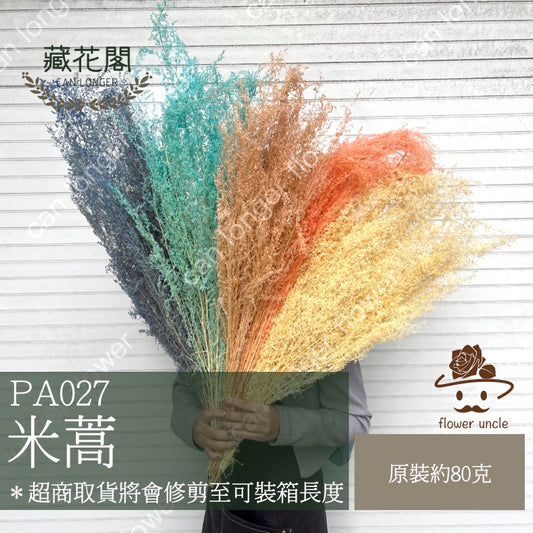 ✿ 台灣現貨 ✿ PA027 米蒿