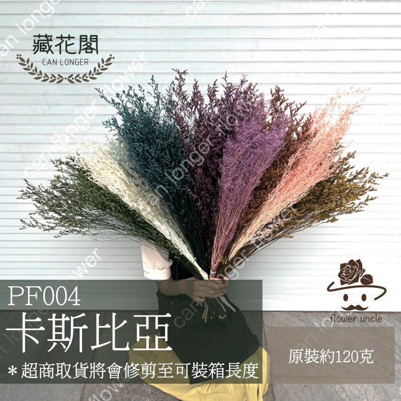 ✿ 台灣現貨 ✿ PF004 卡斯比亞/情人草