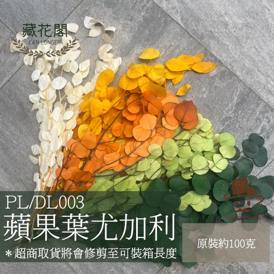 ✿ 台灣現貨 ✿ PL003 DL003 蘋果葉尤加利